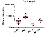 Great SYBR Green for qPCR