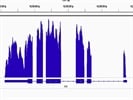 Fast, Easy, Good Quality RNA Seq Libraries