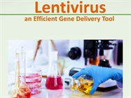 Watch Video: Origene Lentivirus Safety Overview Video