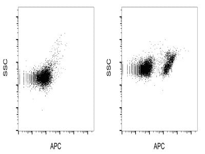Clearly Distinguishes Living Cells From Dead Cells And Debris ...