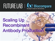 Scaling Up Recombinant Antibody Production