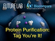 Protein Production: Tag You’re It