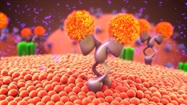  Getting a Better Handle on RNA-Protein Interactions