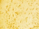 Worked Well On Mouse Brain Tissues