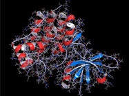 Interrogating Protein Phosphorylation and PTMs with Mass Spec
