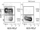 Great CD5 Antibody