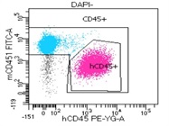 Reliable CD45 Antibody