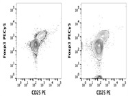 Clearly Labels Foxp3 Expression Among CD4+ T Cells