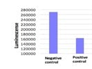 Great Assay For Quick Cell Viability Check At Higher Throughput
