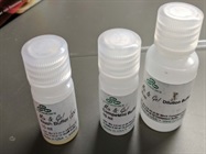 Cheap Easy Homemade Competent Cells