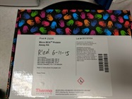 Great Kit To Quantify Protein