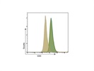 Anti-Mouse CD3 Antibody
