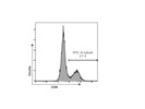 Anti-Mouse CD8a Antibody