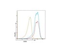 Anti-Human/Mouse/Rat CD278 (ICOS) Antibody