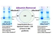 Albumin Depletion