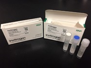 TURBO DNase Treatment To Remove DNA From RNA Preparations