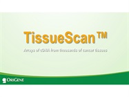 Watch Video: OriGene TissueScan
