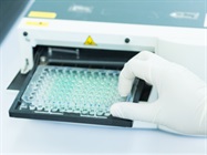 Smarter, Faster, Better: Microplate Readers for Nucleic Acid Quantification