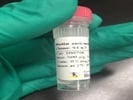 Biotynilated mCD8 to use for affinity purification