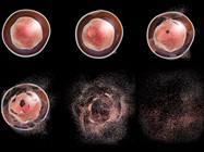 Monitoring Apoptosis by Flow Cytometry
