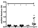 Anti-human IgG-AP (secondary Ab) for dsDNA ELISA