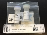 Removing Dead Cells From Flow Cytometry Analysis Using A Blue Live/Dead Stain Kit