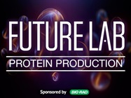 Building a Smooth and Continuous Protein-Purification Workflow