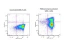 Anti-human CD107a (LAMP-1) Antibody Review
