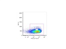 Anti-human CD45RA Antibody Review