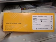Renilla Luciferase Assay System Review