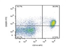 Staining PBMC With Anti-CX3CR1 FITC