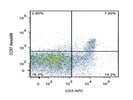 Staining Mouse Splenocytes With Anti-CCR7 Alexa488
