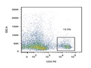 Staining Mouse Splenocytes With Anti-CD3 PE