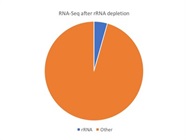 Works Well To Remove rRNA Before Sequencing