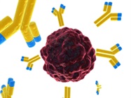 The Antibody Crisis: An Ongoing Discussion