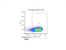 Human CD45RA Antibody