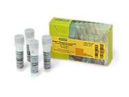 50% OFF Bio-Rad iScript™ Reverse Transcription Kits!