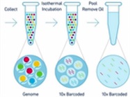 Audio Webinar: Linked-Reads for Improved Genomics