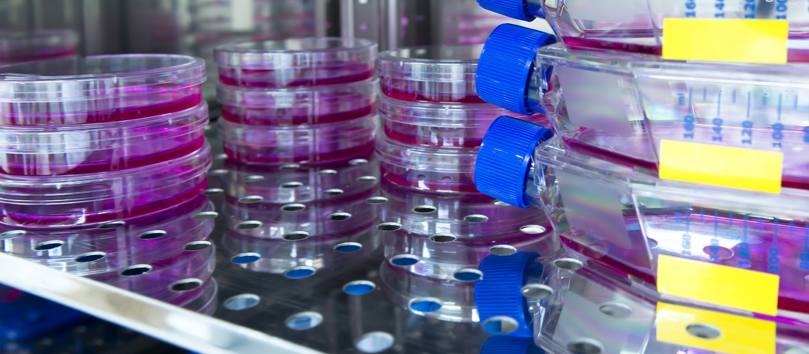 Incubator Architecture Building a Comfortable Home for Your Cells