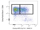 Great MHC-II Staining