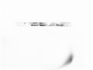 Phospho-Stat3 Tyr705 Western Blot Antibody