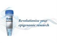SeqCap Epi System