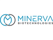 Naïve Stem Cell Culture using AlphaSTEM™