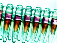 Amplify, Detect and Quantitate with These PCR Options