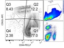 Nice Antibody For Antigen-Experienced T Cells