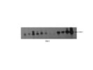 IFN Gamma Antibody
