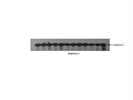 Arginase-1 Rabbit mAb