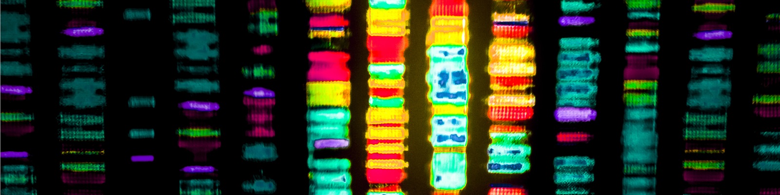  Whole Exome Sequencing: Packed Full of Transcript Data