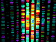 Whole Exome Sequencing: Packed Full of Transcript Data