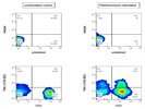 Highly Recommended Anti-TIM-3 Antibody For Staining Of Human Peripheral Blood Mononuclear Cells By Flow Cytometry
